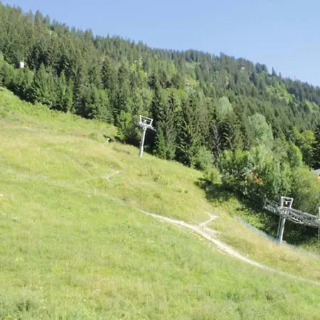 Châtel, 3 Pièces, 6 Personnes - Fr-1-200-245 *